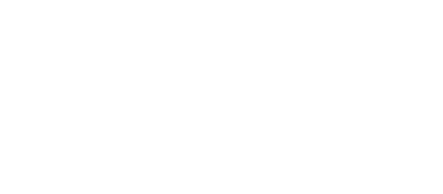 Fozzini Lifestyle Concepts Logo Mark
